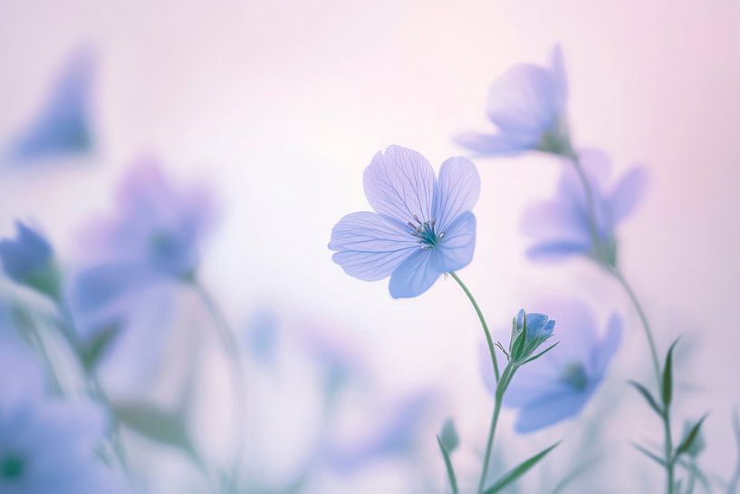 Delicate flower blossoms by Poster Art Shop