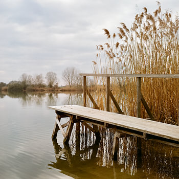 Peace and tranquillity on the Old Rhine