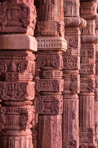 Row of carved columns in mosque in Delhi by Karel Ham