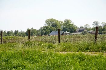 Stück der Niederlande