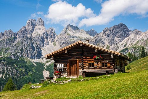 Mountain scenery "Cosy alpine hut on a mountain slope". by Coen Weesjes