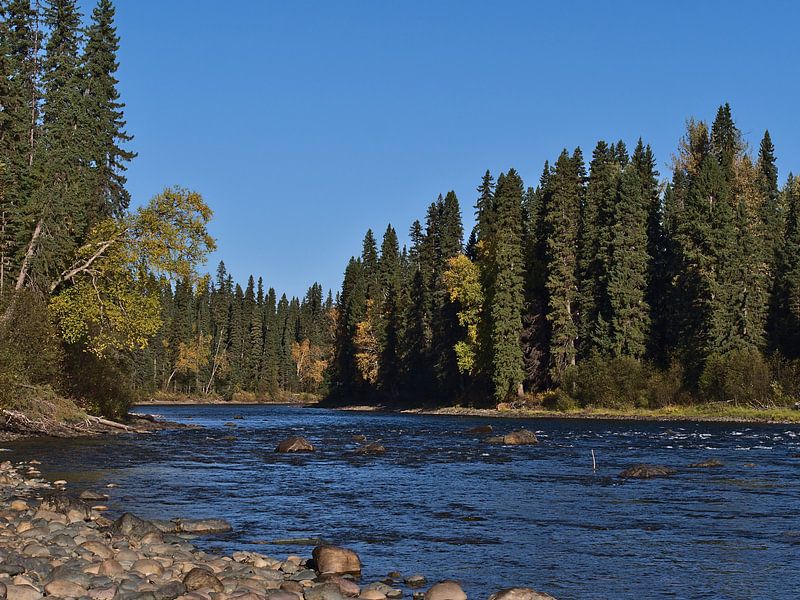 Bowron River by Timon Schneider