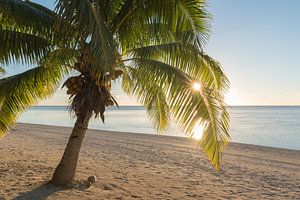 Sonnenaufgang Aitutaki