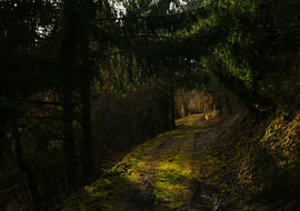 Straight out of a fairy tale ...