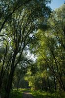 Herfstlandschap