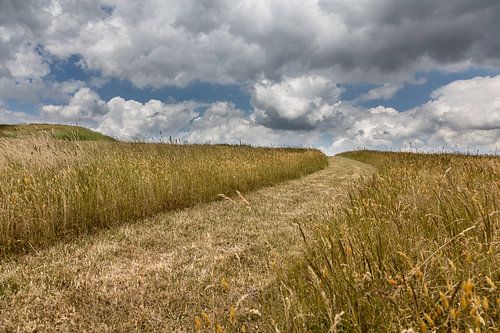 pad door het weiland