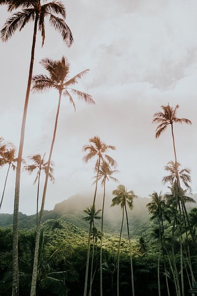 Hawaii by Hello Pompoyo