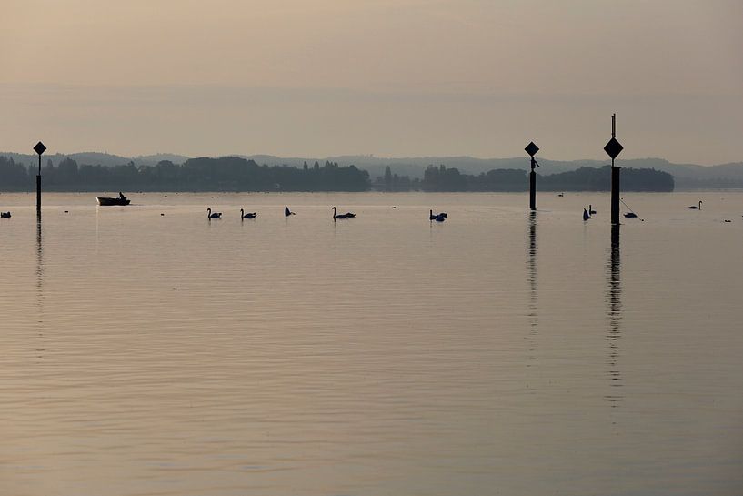 Bodensee am Morgen von Thomas Jäger