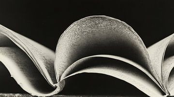 Abstract boek van Franka Poulain