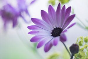 Sommerzeit