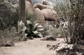 dessert walk by René De bree