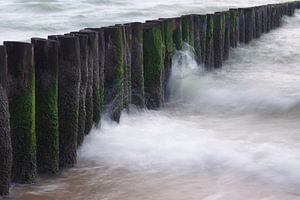 Vagues et brise-lames