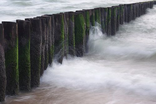 Golven en golfbrekers