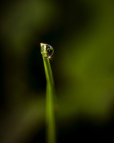 Waterdrop