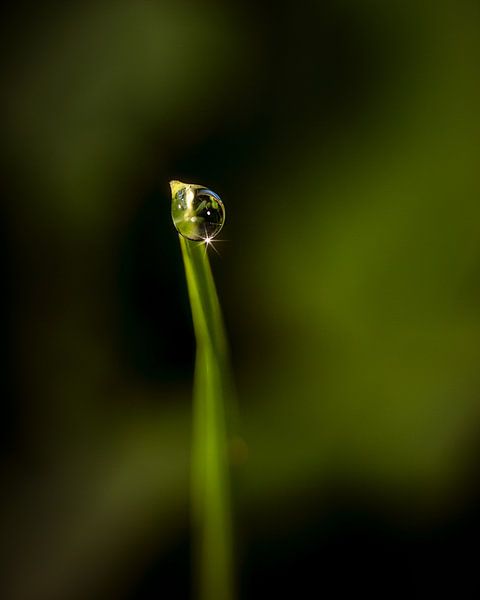 Waterdrop von Andre Michaelis