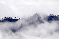  Tussen de wolken