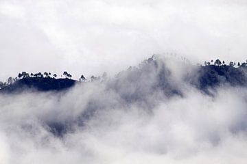  Tussen de wolken van Jolanta Mayerberg