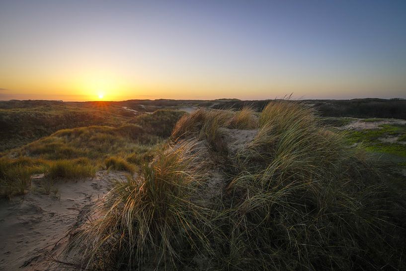 Coepelduyn zwischen Katwijk und Noordwijk von Dirk van Egmond