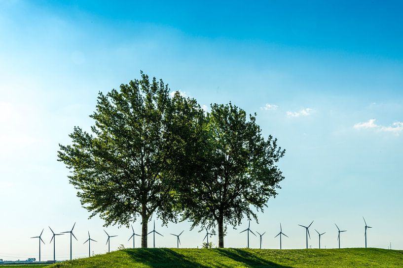 Nature and alternative energy by Ruurd Dankloff
