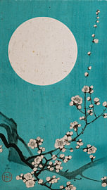 Traditioneller japanischer Holzschnitt: Blühende Kirschblüten bei Vollmond in Aquablau von Studio Pieternel