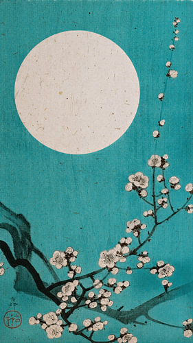 Traditioneller japanischer Holzschnitt: Blühende Kirschblüten bei Vollmond in Aquablau