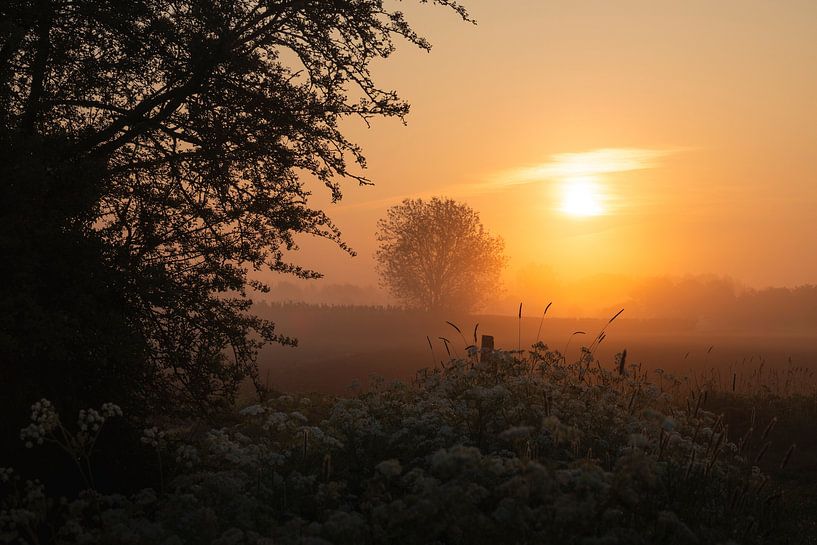 Sonnenaufgang Betuwe von Zwoele Plaatjes