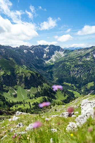 Bloemrijk uitzicht op de Nebelhorn en de Allgäuer Alpen