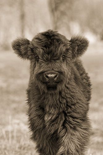 Hallo, wer sind Sie?