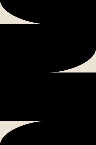 Abstracte vormen in zwart-wit IV