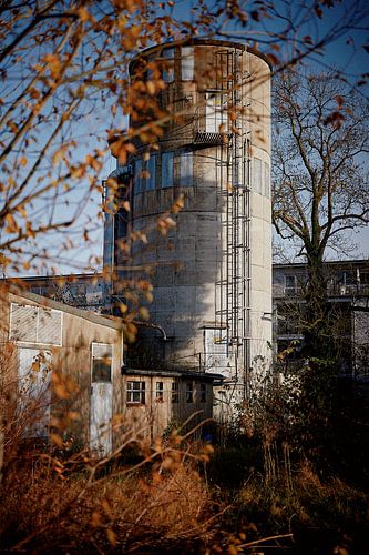 Industrial charm in autumn light