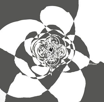 Rose- B&W Abstract von Annaluiza Dovinos