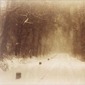 Le pays des merveilles de l'hiver. sur Esh Photography