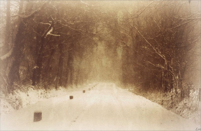 Winter wonderland. van Esh Photography