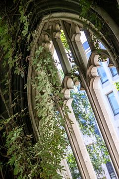 Fenêtre d'église envahie par la végétation. sur Floyd Angenent