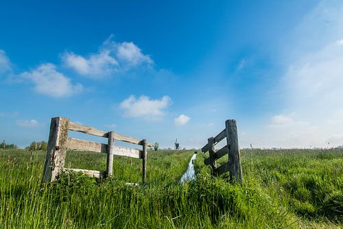 Zaun mit Mühle im Frühjahr