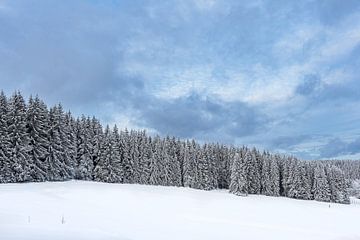 Landschap in de winter in het Thüringer Woud bij Schmied