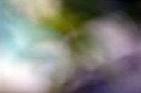 Blurred-photography-blurred