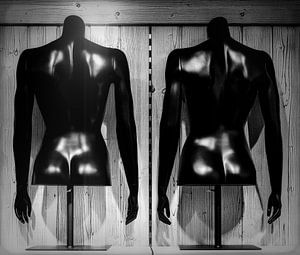 Vente de la trilogie #2 : Torses noirs
