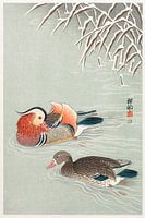 Mandarin ducks (1925 - 1936) by Ohara Koson
