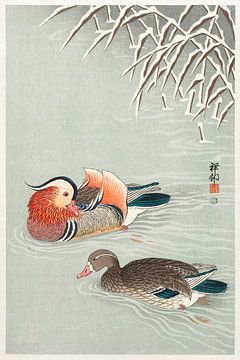 Mandarin ducks (1925 - 1936) by Ohara Koson van Studio POPPY