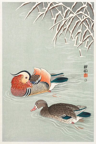 Mandarin ducks (1925 - 1936) by Ohara Koson by Studio POPPY