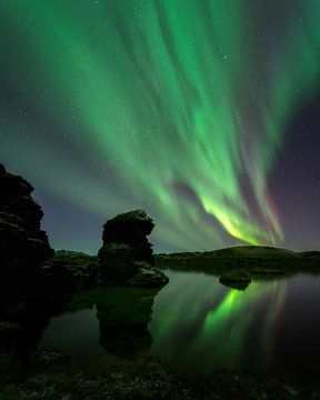Noorderlicht in Myvatn - IJsland van Roy Poots