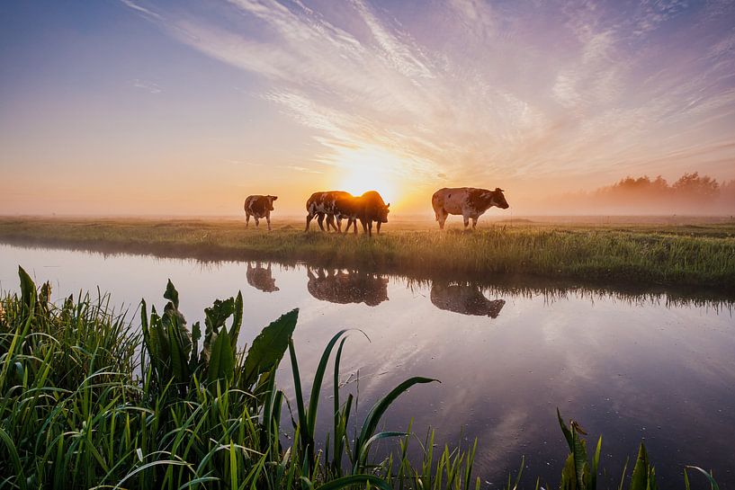 sunrise in the green heart by van Buren Fotografie