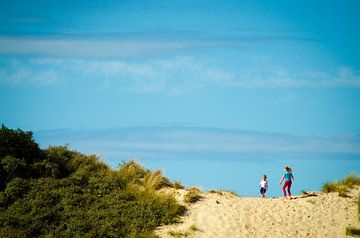 Zwinse Duinen