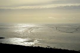 winter with ice floe on the IJsselmeer