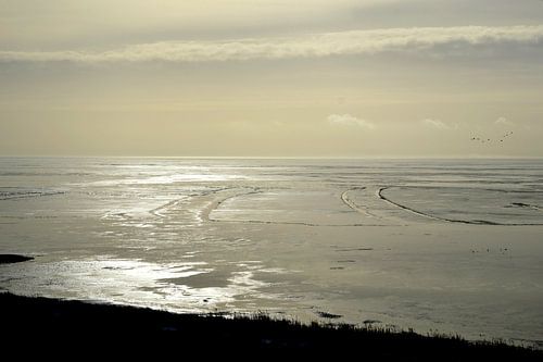 winter with ice floe on the IJsselmeer