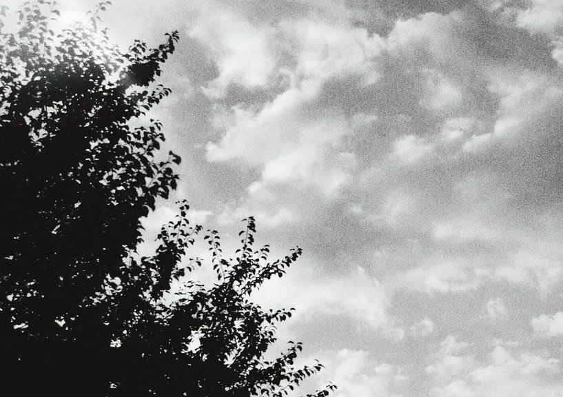 Zwart wit foto bomen en wolken by Danielle Vd wegen