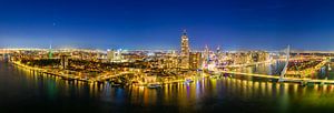 Rotterdam nighttime skyline panorama view