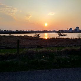 robert van Middelkoop Profilfoto