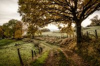 Country road